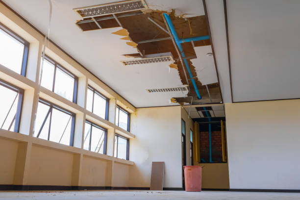Best Water damage restoration company  in East Massapequa, NY