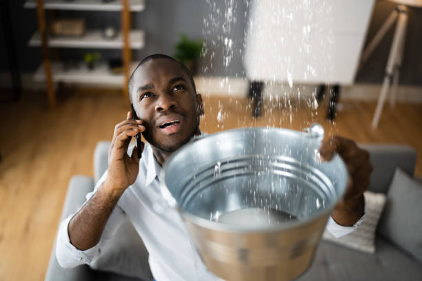 Best 24/7 water damage repair  in East Massapequa, NY