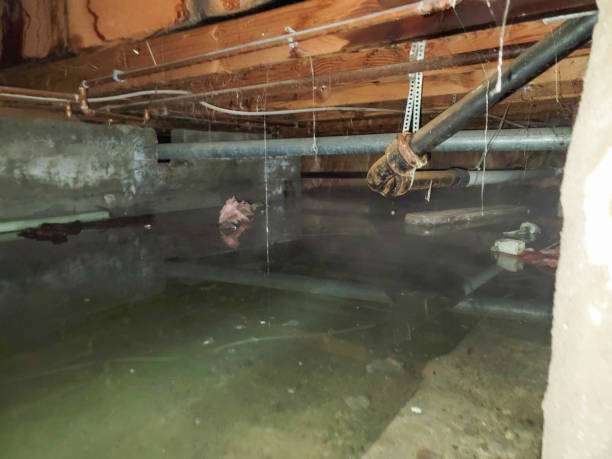 Water damage restoration mold remediation in East Massapequa, NY