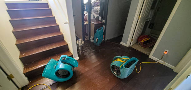 Water damage restoration experts in East Massapequa, NY