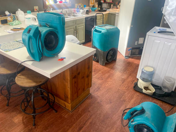 Best Water damage restoration experts  in East Massapequa, NY