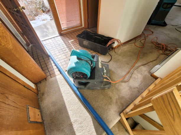 Trusted East Massapequa, NY Water damage restoration Experts