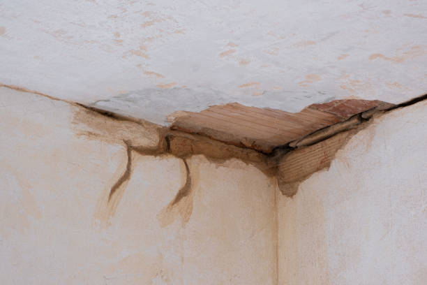 Best Local water damage restoration  in East Massapequa, NY