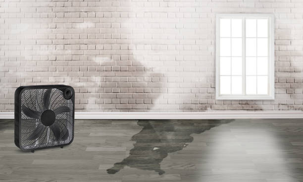 Best Residential water damage restoration  in East Massapequa, NY