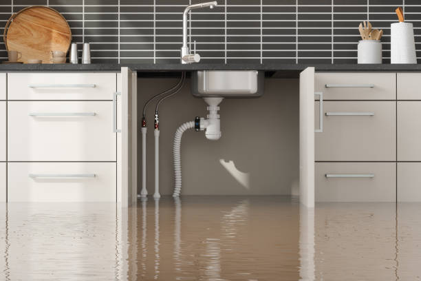 Best Water damage restoration mold remediation  in East Massapequa, NY