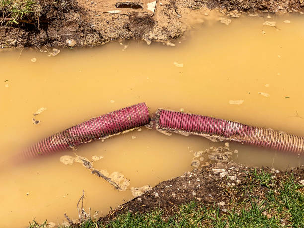 Water damage restoration experts in East Massapequa, NY