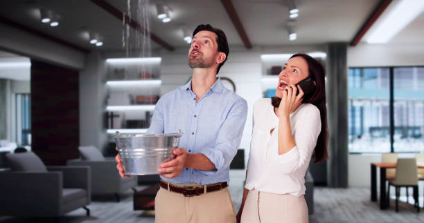 Best Fire Damage Restoration  in East Massapequa, NY