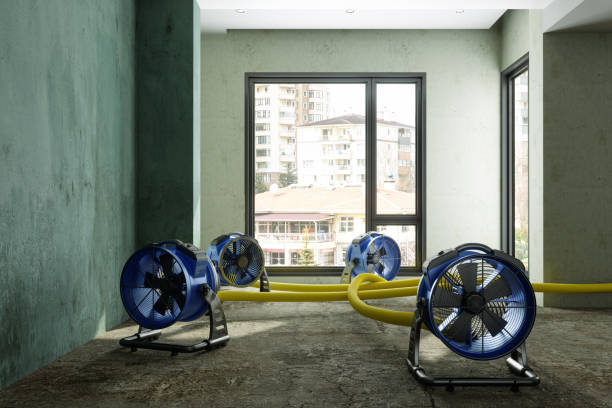 Best 24-hour water damage restoration  in East Massapequa, NY