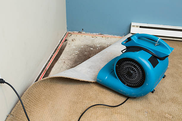 Best Water damage restoration near me  in East Massapequa, NY